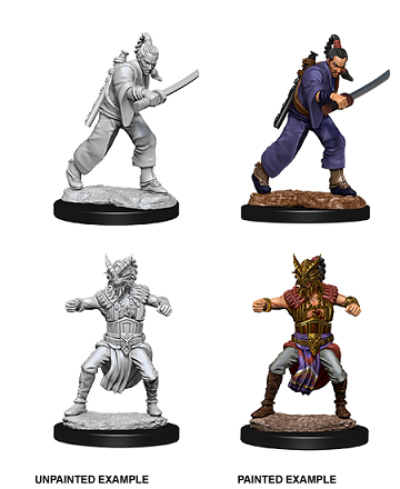 D&D Minis: Human Monk Male