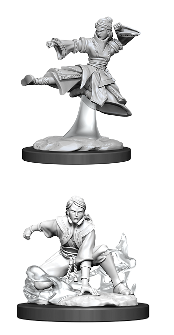 D&D Minis: Human Monk Female