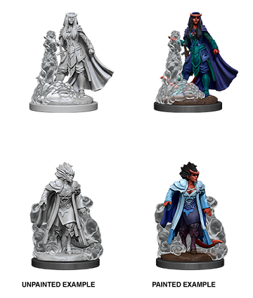D&D Minis: Tiefling Sorcerer Female