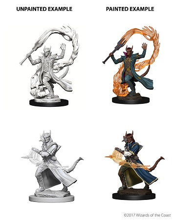 D&D Minis: Tiefling Sorcerer Male