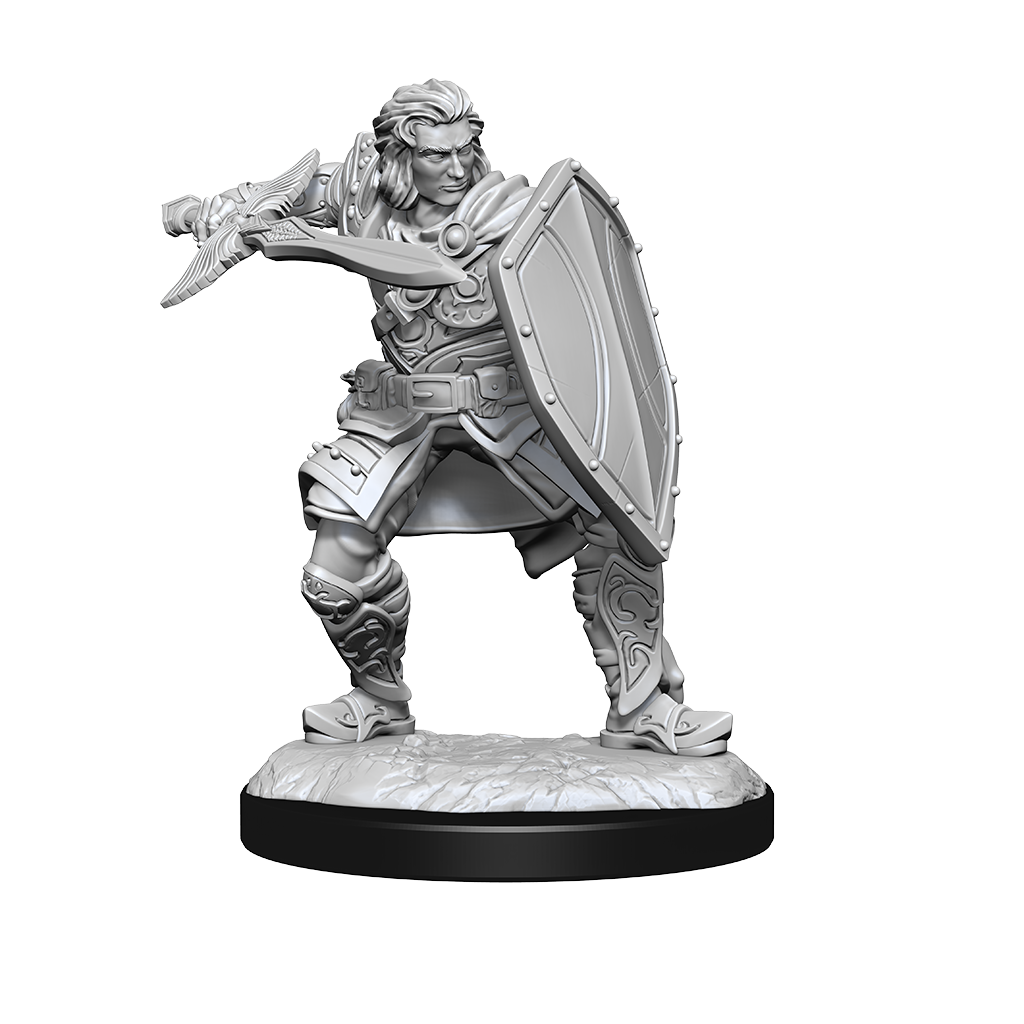 D&D Minis: Human Paladin Male
