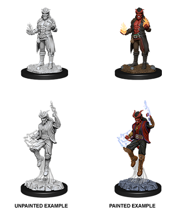 D&D Minis: Tiefling Sorcerer Male