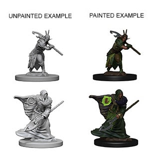 D&D Minis: Elf Druid Male
