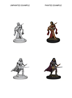 D&D Minis: PF Human Bard Female
