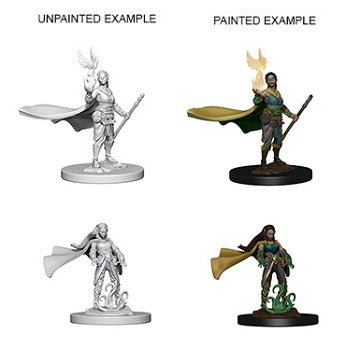 D&D Minis: Elf Druid Female