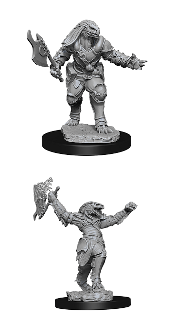 D&D Minis: Dragonborn Fighter Female