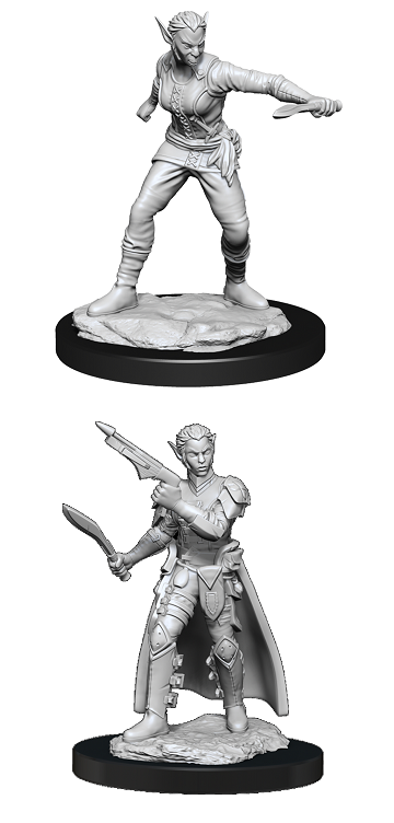 D&D Minis: Shifter Rogue Female