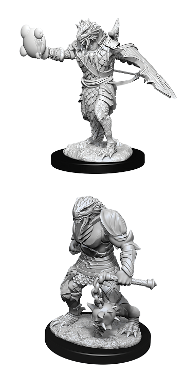 D&D Minis: Dragonborn Paladin Male