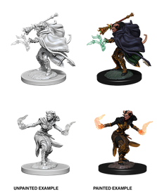 D&D Minis: Tiefling Warlock Female