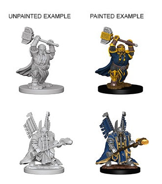 D&D Minis: Dwarf Paladin Male