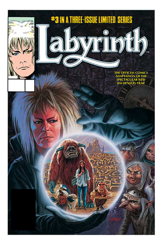 Jim Hensons Labyrinth Archive Edition #3 (Of 3) Cover A Palmer