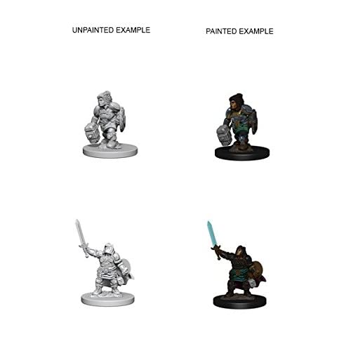 D&D Minis: Dwarf Paladin Female