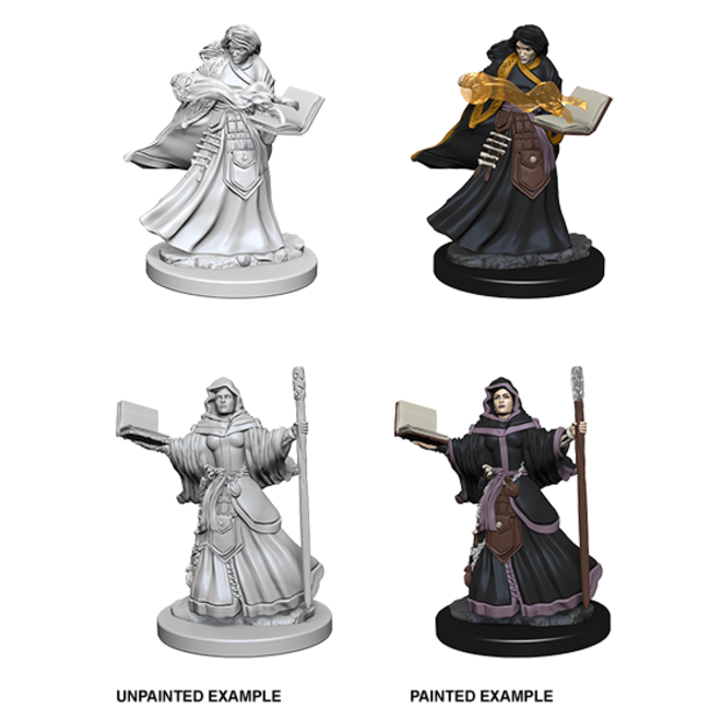 D&D Minis: Human Wizard Female