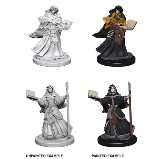 D&D Minis: Human Wizard Female