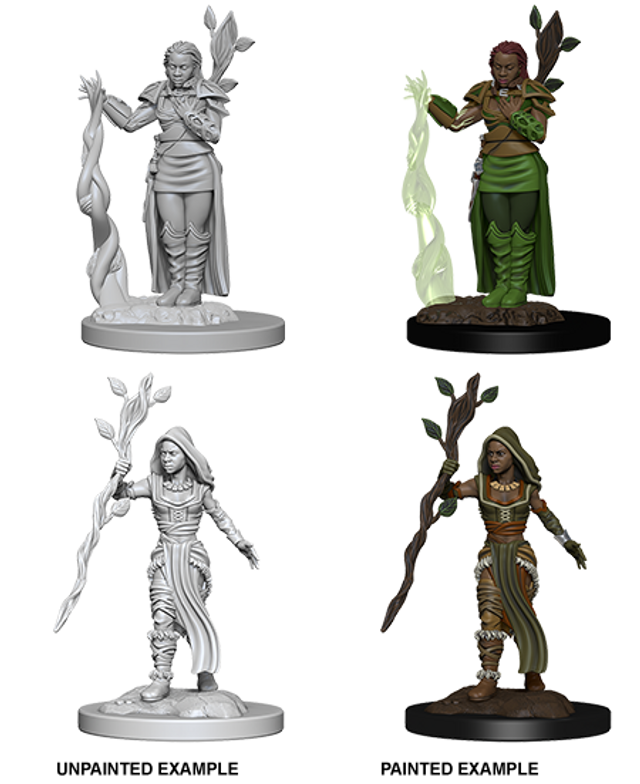 D&D Minis: Human Druid Female