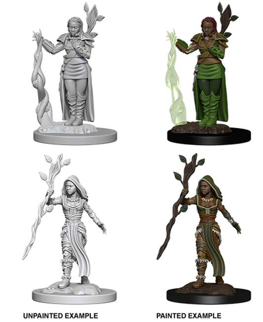 D&D Minis: Human Druid Female