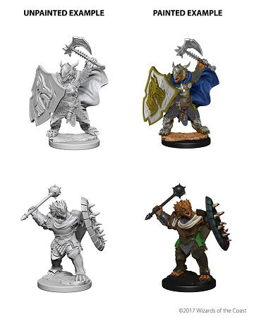 D&D Minis: Dragonborn Paladin Male