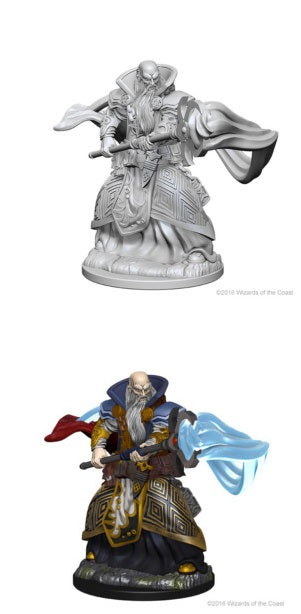 D&D Minis: Male Human Wizard WV1