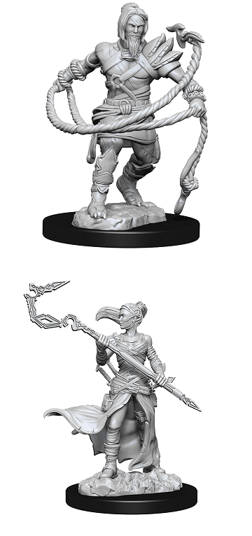 D&D Minis: Mystic/Kor Hookmaster