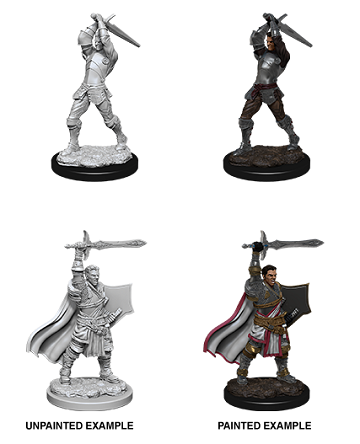 D&D Minis: Human Paladin Male