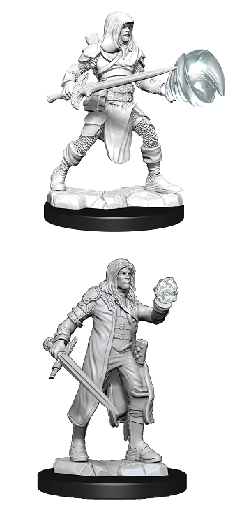 D&D Minis: Fighter/Wizard Male
