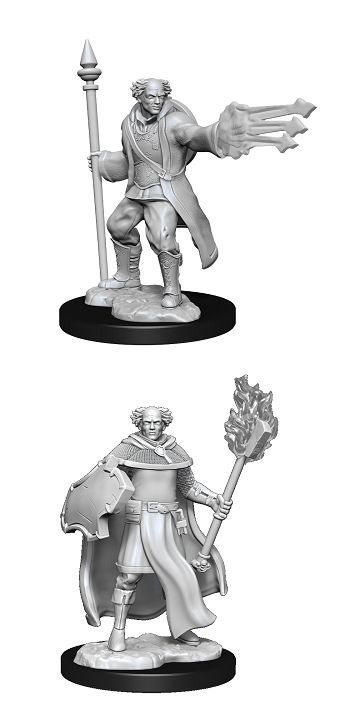 D&D Minis: Cleric/Wizard Male