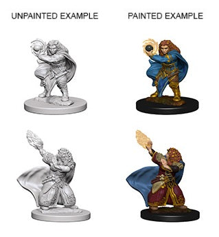 D&D Minis: Dwarf Wizard Female