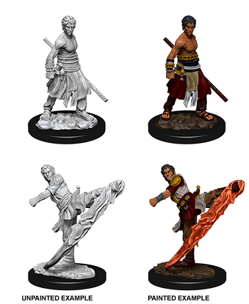 D&D Minis: Half-Elf Monk Male
