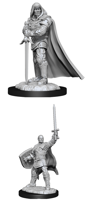 D&D Minis: Human Paladin Male