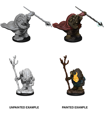 D&D Minis: Tortles Adventurers