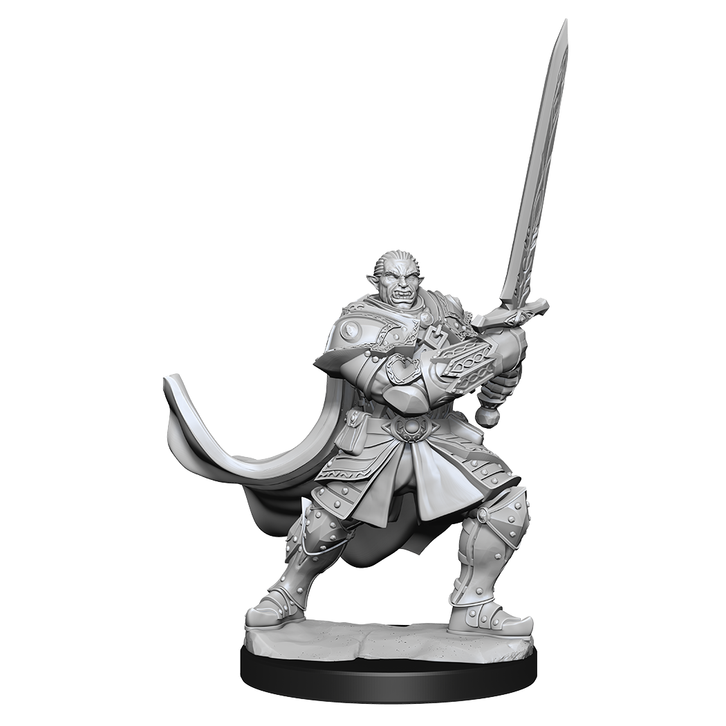 D&D Minis: Half-Orc Paladin Male