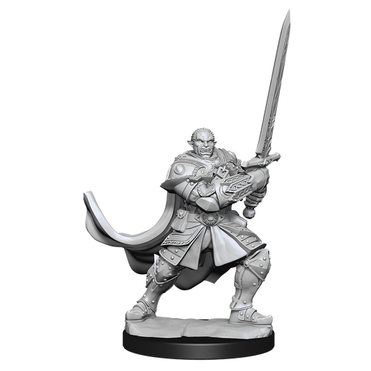 D&D Minis: Half-Orc Paladin Male