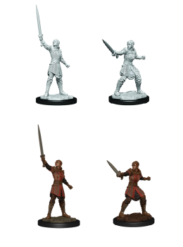 D&D Minis: Human Empire Fighter Female