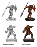 D&D Minis: Dragonborn Fighter Male