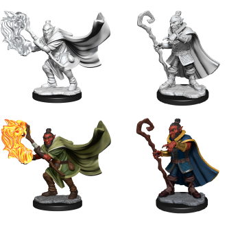 D&D Minis: Hobgoblin Wizard & Druid Male