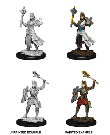 D&D Minis: Human Cleric Female