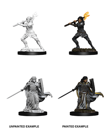 D&D Minis: Human Paladin Female