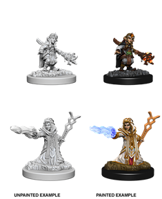 D&D Minis: Gnome Wizard Female