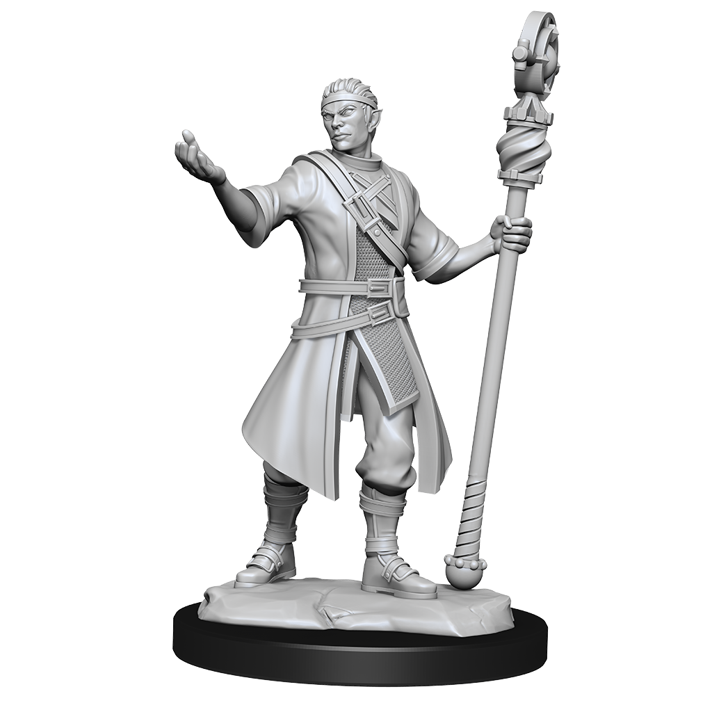 D&D Minis: Half-Elf Wizard Male