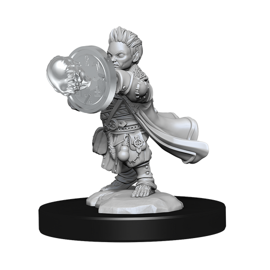 D&D Minis: Halfling Wizard Male