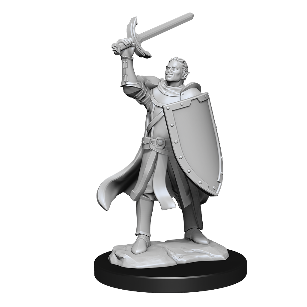 D&D Minis: Half-Elf Paladin Male