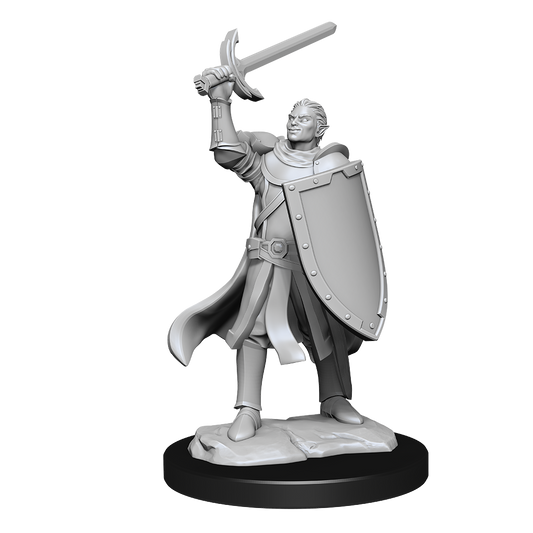 D&D Minis: Half-Elf Paladin Male