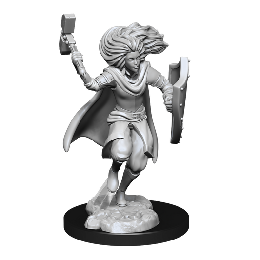 D&D Minis: Changeling Cleric Male