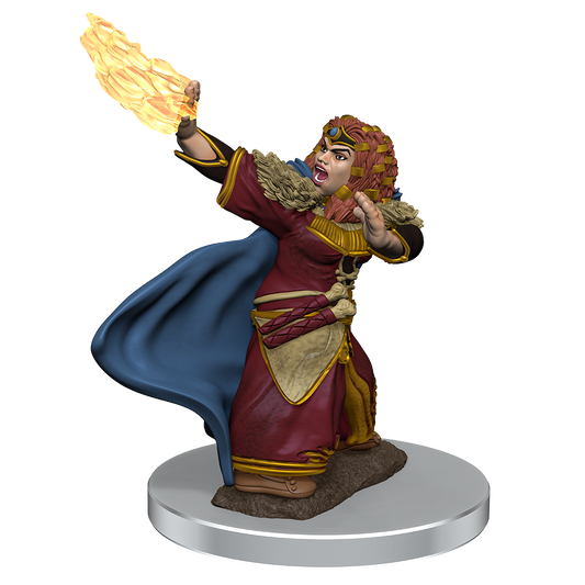 D&D Minis: Dwarf Wizard Female - Painted