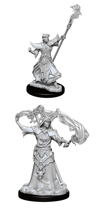 D&D Minis: PF Human Sorcerer Male
