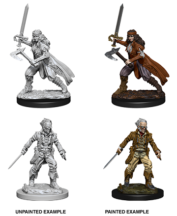 D&D Minis: Vampire hunters