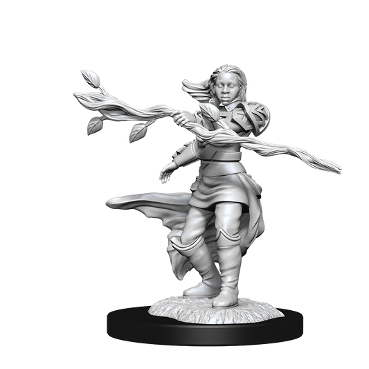 D&D Minis: Human Druid Female