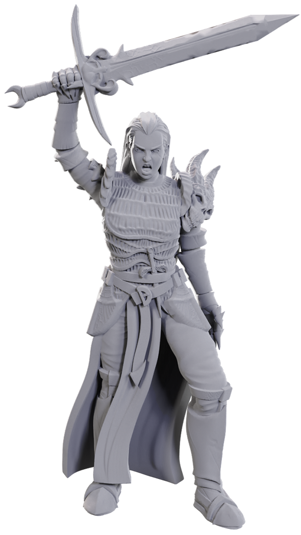 D&D Minis: Blackguard