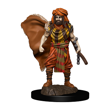 D&D Minis: IICONS O/T REALMS HUMAN DRUID MALE - Painted