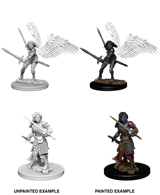 D&D Minis: Aasimar Paladin Female